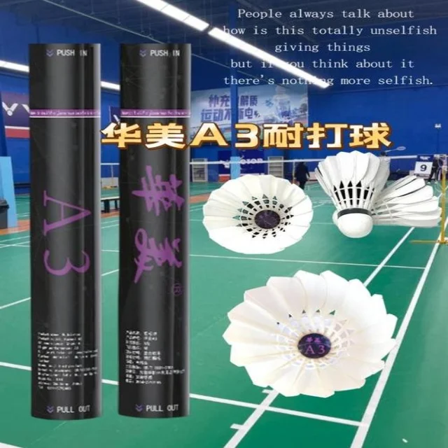 全球体育赛事最新动态与深度剖析推荐指南
